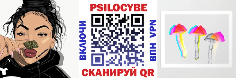 как найти Венёв Псилоцибиновые грибы MAGIC MUSHROOMS
